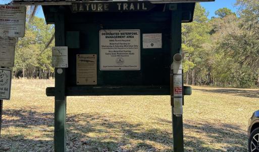 Photo #19 of Lot 9 Samworth Loop, Georgetown, SC 5.0 acres
