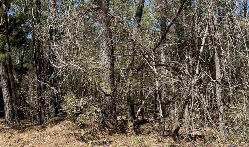 Photo #10 of Lot 9 Samworth Loop, Georgetown, SC 5.0 acres