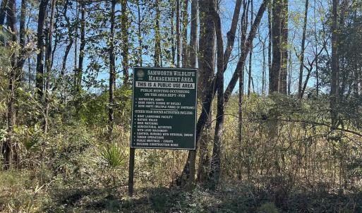 Photo #7 of Lot 9 Samworth Loop, Georgetown, SC 5.0 acres