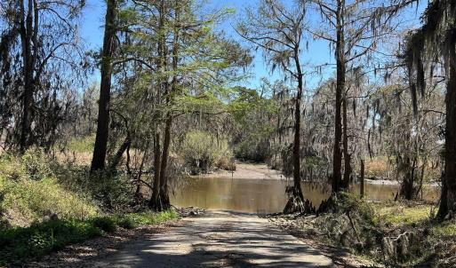 Photo #18 of Lot 9 Samworth Loop, Georgetown, SC 5.0 acres