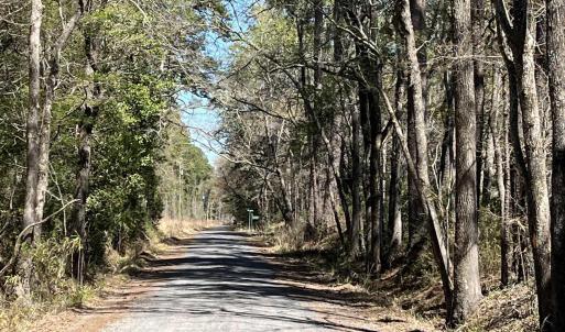 Photo #5 of Lot 9 Samworth Loop, Georgetown, SC 5.0 acres
