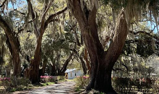 Photo #15 of Lot 9 Samworth Loop, Georgetown, SC 5.0 acres