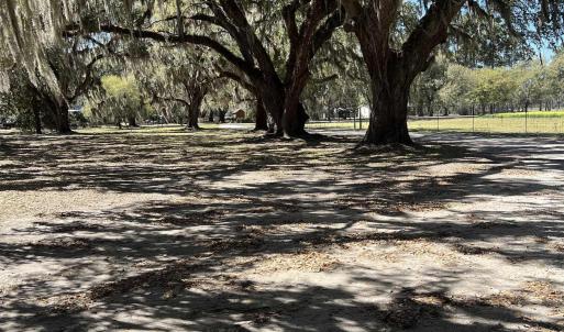 Photo #20 of Lot 9 Samworth Loop, Georgetown, SC 5.0 acres