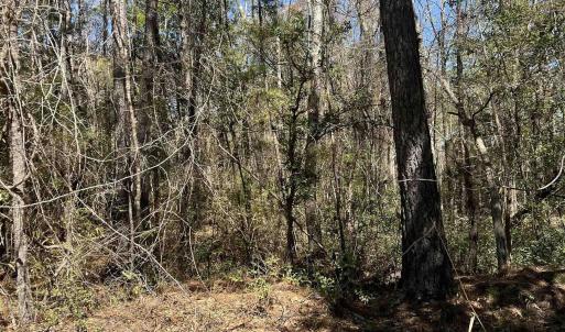 Photo #11 of Lot 9 Samworth Loop, Georgetown, SC 5.0 acres