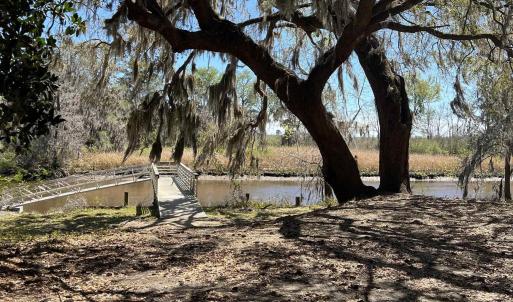 Photo #23 of Lot 9 Samworth Loop, Georgetown, SC 5.0 acres