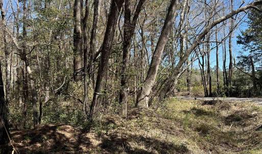 Photo #12 of Lot 9 Samworth Loop, Georgetown, SC 5.0 acres