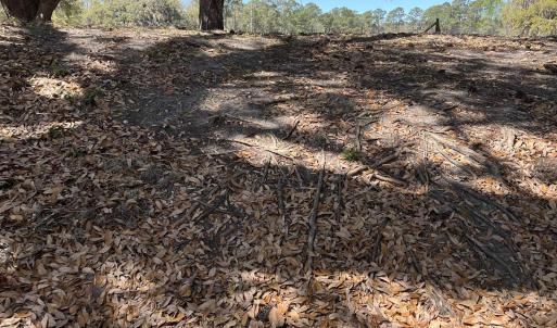 Photo #21 of Lot 9 Samworth Loop, Georgetown, SC 5.0 acres