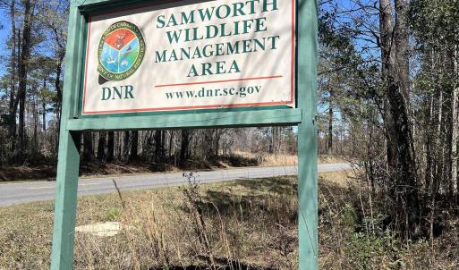 Photo #4 of Lot 9 Samworth Loop, Georgetown, SC 5.0 acres