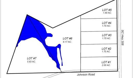 Photo #5 of TBD Highway 308, Galivants Ferry, SC 1.7 acres