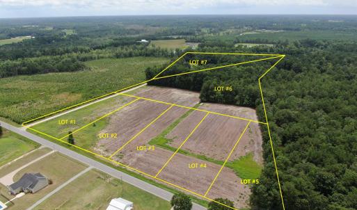 Photo #3 of TBD Highway 308, Galivants Ferry, SC 1.7 acres
