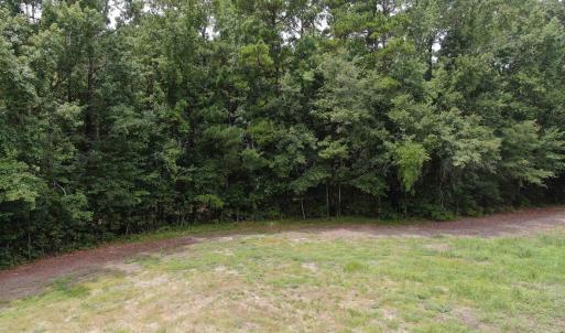 Drone / aerial view with a view of trees and a rur