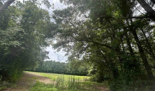 Photo #12 of TBD Highway 308, Galivants Ferry, SC 5.8 acres