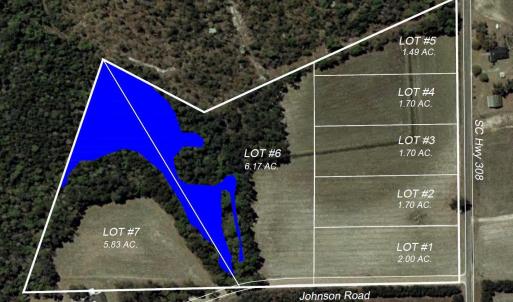 Photo #6 of TBD Highway 308, Galivants Ferry, SC 5.8 acres