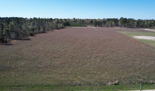 Photo #2 of Lot 38 Gulley Ln., Salters, SC 2.4 acres