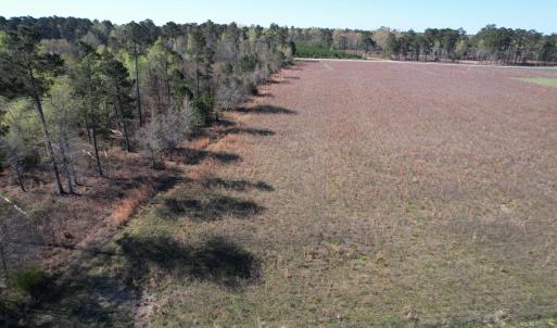 Photo #3 of Lot 38 Gulley Ln., Salters, SC 2.4 acres