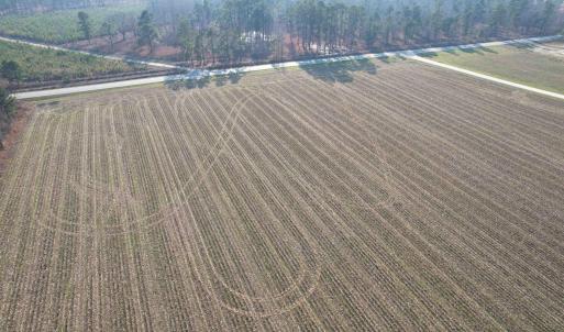 Photo #6 of Lot 38 Gulley Ln., Salters, SC 2.4 acres