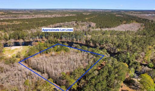 Drone / aerial view featuring a forest view