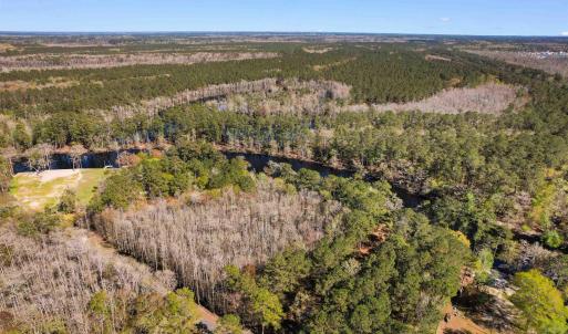 Drone / aerial view featuring a forest view
