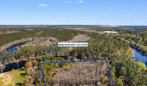 Bird's eye view with a water view and a wooded vie