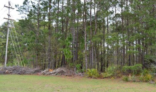 Photo #14 of Lot 1&2 Highway 501 E, Conway, SC 1.4 acres