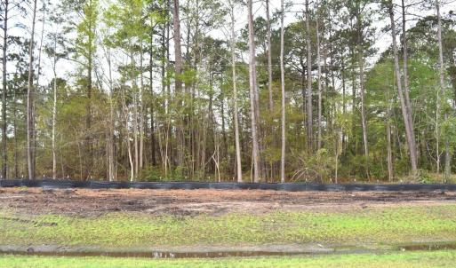 Photo #6 of Lot 1&2 Highway 501 E, Conway, SC 1.4 acres