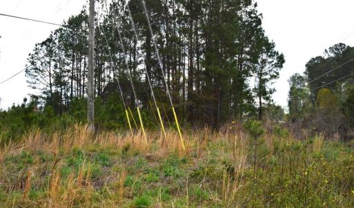 Photo #13 of Lot 1&2 Highway 501 E, Conway, SC 1.4 acres