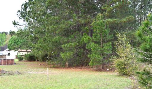 Photo #11 of Lot 1&2 Highway 501 E, Conway, SC 1.4 acres
