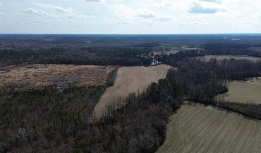 Bird's eye view with a view of trees and a rural v