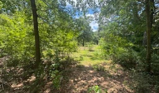 View of wooded area