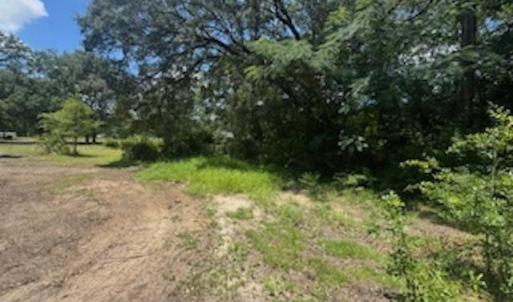 View of undeveloped land