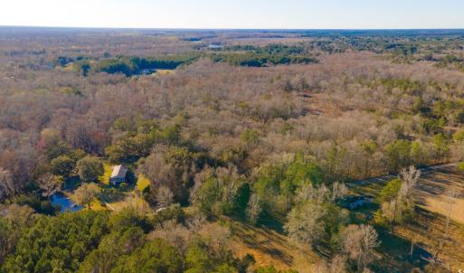 Bird's eye view featuring a view of trees