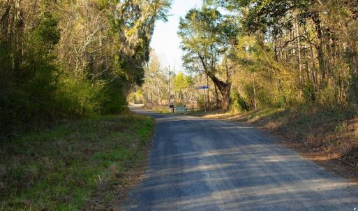 View of road featuring a forest view