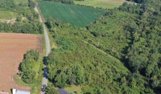 Photo #2 of Tract 4 Borkowitz Rd., Scranton, SC 4.4 acres