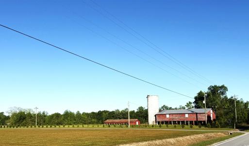 Photo #4 of TBD Red Barn Tr Borkowitz Rd., Scranton, SC 7.8 acres