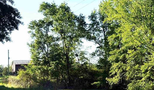 Photo #9 of TBD Red Barn Tr Borkowitz Rd., Scranton, SC 7.8 acres