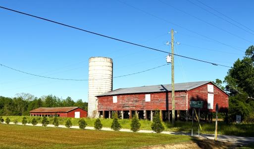 Photo #5 of TBD Red Barn Tr Borkowitz Rd., Scranton, SC 7.8 acres