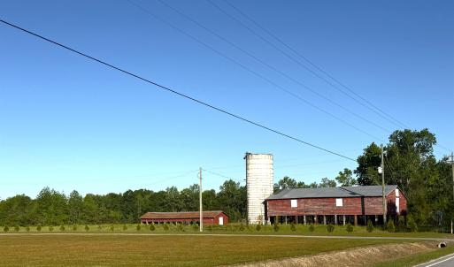 Photo #3 of TBD Red Barn Tr Borkowitz Rd., Scranton, SC 7.8 acres