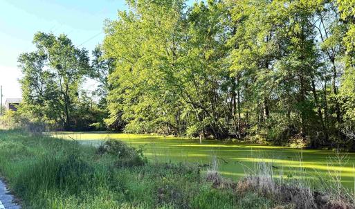 Photo #7 of TBD Red Barn Tr Borkowitz Rd., Scranton, SC 7.8 acres