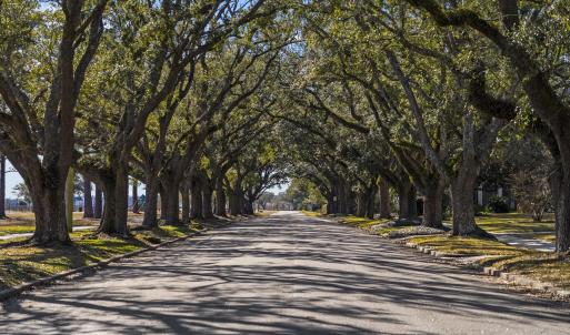 Photo #22 of Lot 117 Seaport Circle, Georgetown, SC 0.2 acres