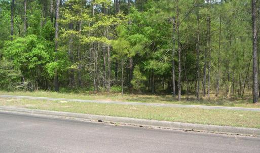 View of street featuring a wooded view, sidewalks,