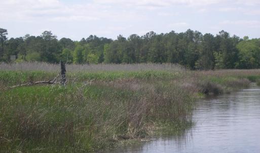 View of water feature with a wooded view