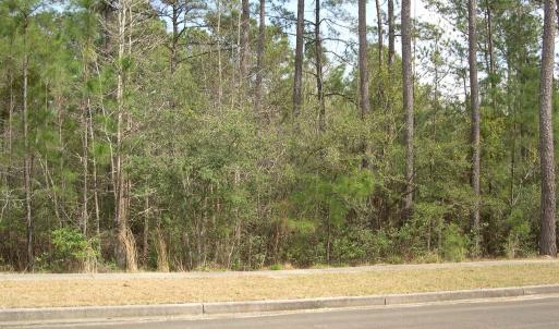 View of road with a wooded view, sidewalks, and cu
