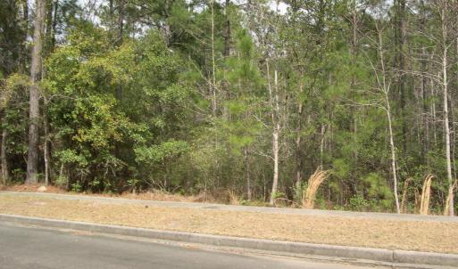 View of road with curbs, sidewalks, and a wooded v