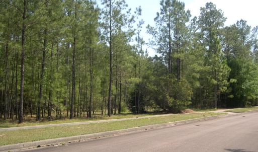 View of street with curbs, sidewalks, and a wooded
