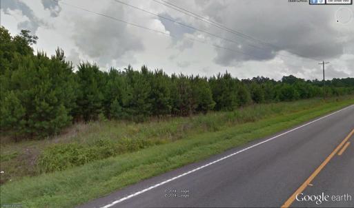 View of street with a wooded view