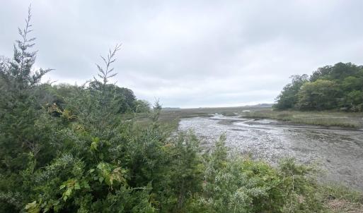 View of the INLET.