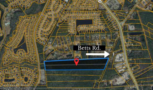 Photo #2 of TBD Betts Rd., Murrells Inlet, SC 20.8 acres