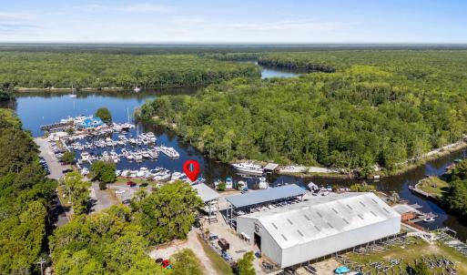 Drone / aerial view featuring a view of trees and