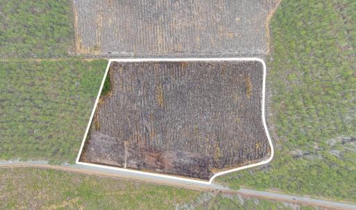 Photo #19 of 5620 Joyner Swamp Rd., Galivants Ferry, SC 1.2 acres
