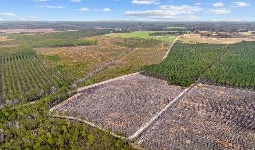 Photo #10 of 5580 Joyner Swamp Rd., Galivants Ferry, SC 1.4 acres